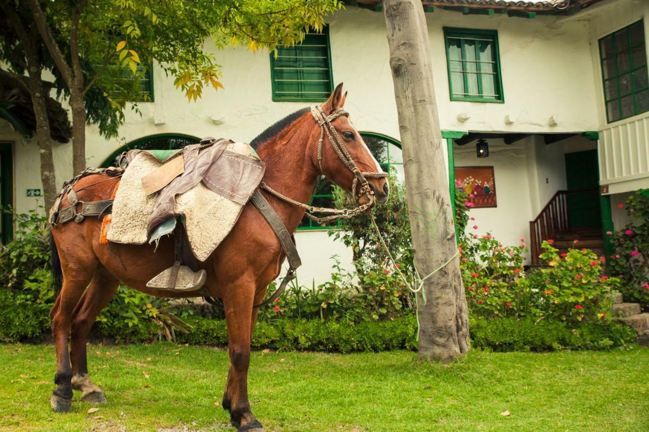 Posada Ingapirca المظهر الخارجي الصورة