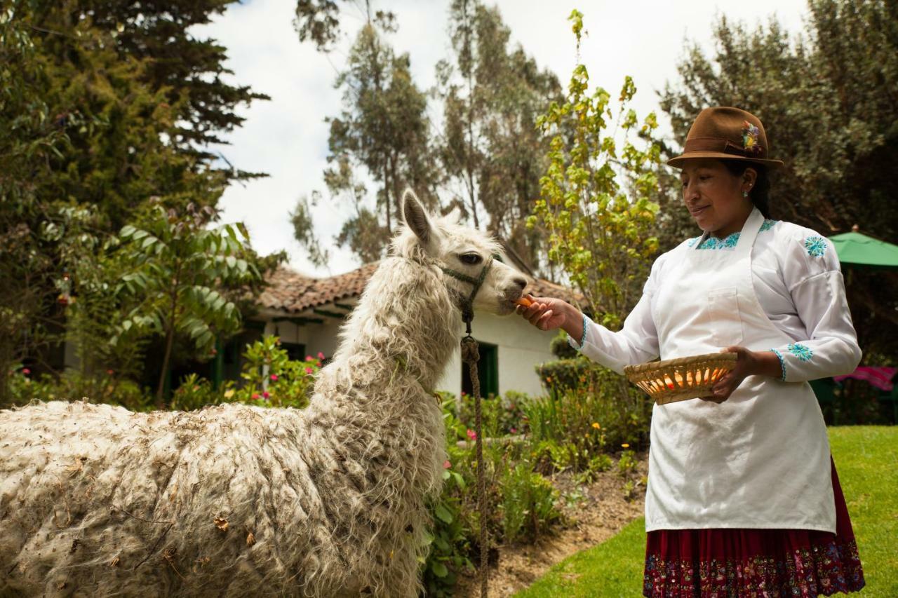 Posada Ingapirca المظهر الخارجي الصورة